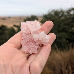 Pink Halite Salt Crystal Cluster Handpicked Quality Trona, CA Mineral, Small